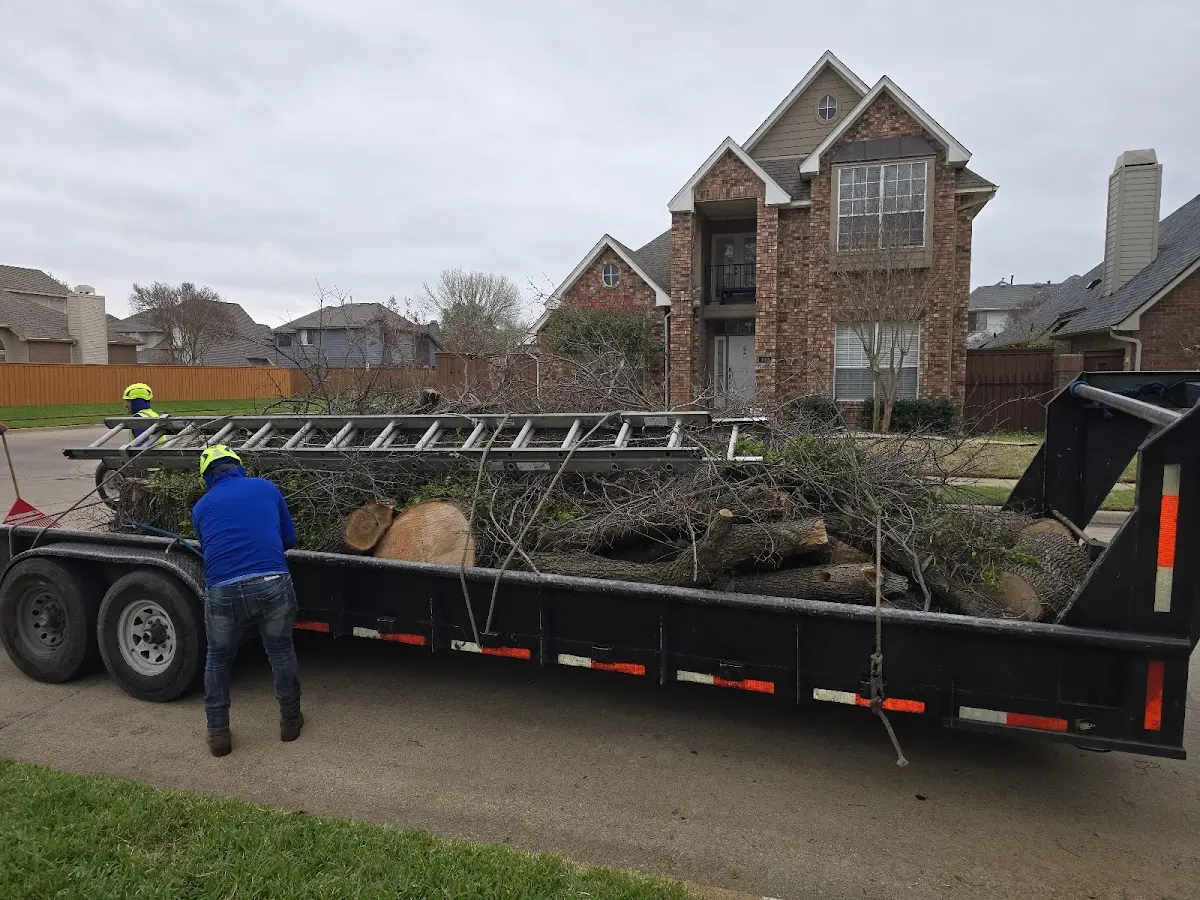 Expert Tree Fertilization with proper safety equipment in Palmyra